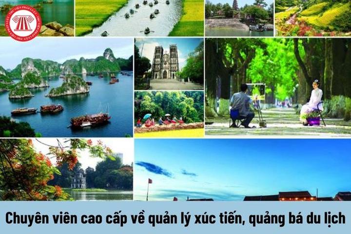 Diện mạo gây sốc của Bi Béo - - Cảm hứng video marketing từ Hotspot Matrix