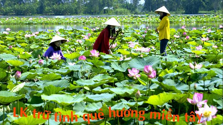 Trấn Thành - người đàn ông - Cảm hứng video marketing từ Hotspot Matrix