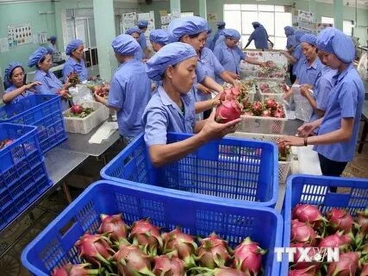 Tưởng thịt bò là