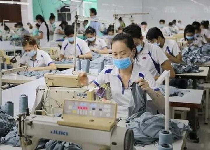 Gỗ và Video: Kết nối nghệ thuật truyền thống với công nghệ hiện đại
