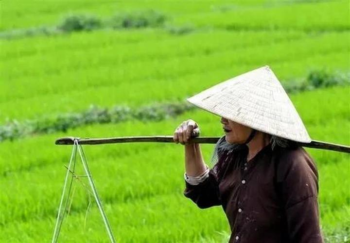 Tự Do Tài Chính: Chuyện Thành Công Của Tôi Với Hotspot Matrix