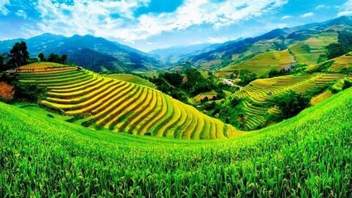 Triển lãm Dự án và Thu hút Khách Hàng Mới với Hotspot Matrix